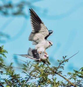 show-me-picture-of-hd-images-photos-status--wallpaper