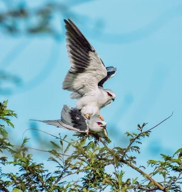 show-me-picture-of-hd-images-photos-status--wallpaper