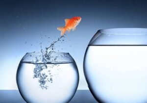 Beautiful DP For Whatsapp Images HD, Picture, Photos, Status beautiful-dp-for-whatsapp-images-hd-picture-photos-status