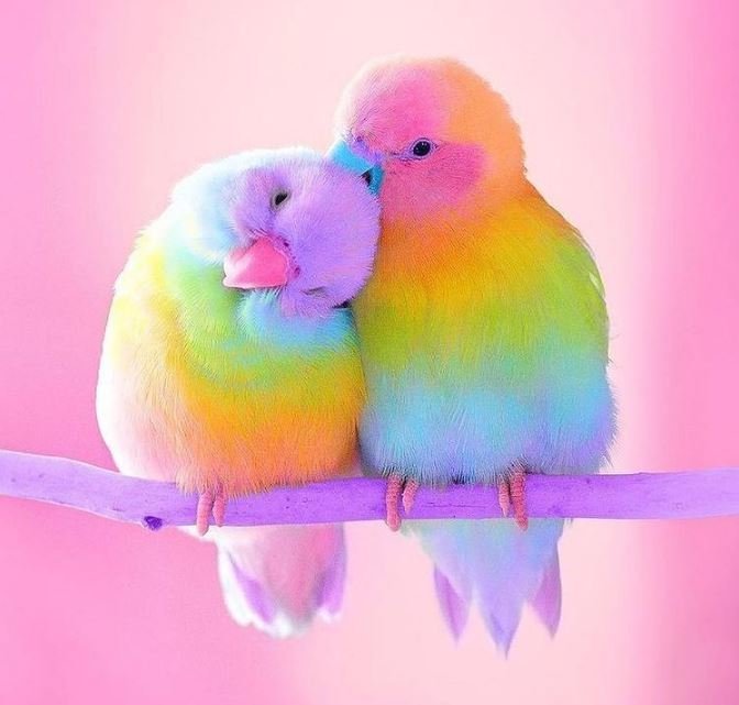 Cute DP For Whatsapp Images Hd, Picture, Photos cute-dp-for-whatsapp-images-hd-picture-photos-status-wishes