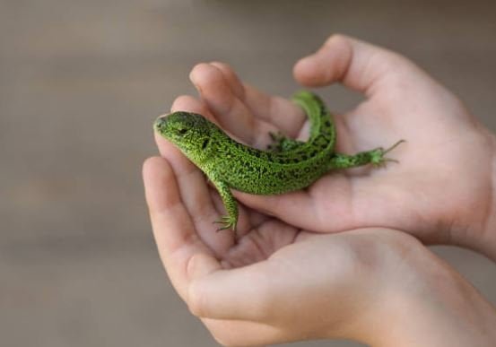 eye-catching-nature-dp-for-whatsapp-images-photos-picture