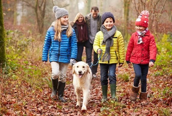 Fall Family Photo Outfits, Images HD, Pictures, Whatsapp fall-family-photo-outfits-images-hd-pictures-whatsapp-status