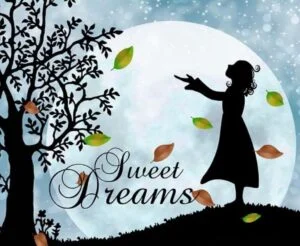 Good Night Images In Hindi Hd, Picture, Photos good-night-images-in-hindi-hd-picture-photos-whatsapp-status