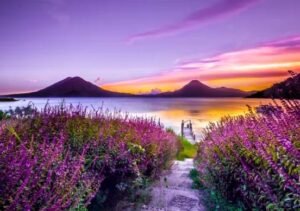 natural-attractive-whatsapp-dp-images-hd-picture-status-photos