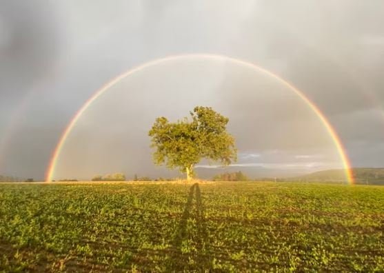 Rainbow Near Me Now Images HD, Pictures, Photos, Status DP rainbow-near-me-now-images-hd-pictures--whatsapp-status-dp