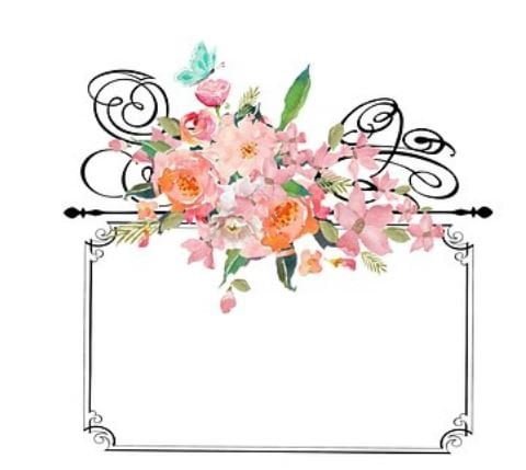 Flowers Pictures Background | Background images flowers Wallpapers summer flowers, wallpapers flowers, flowers Background, wallpapers flowers, flowers wallpapers, roses Background, wallpapers roses, wallpapers flowers mobile,