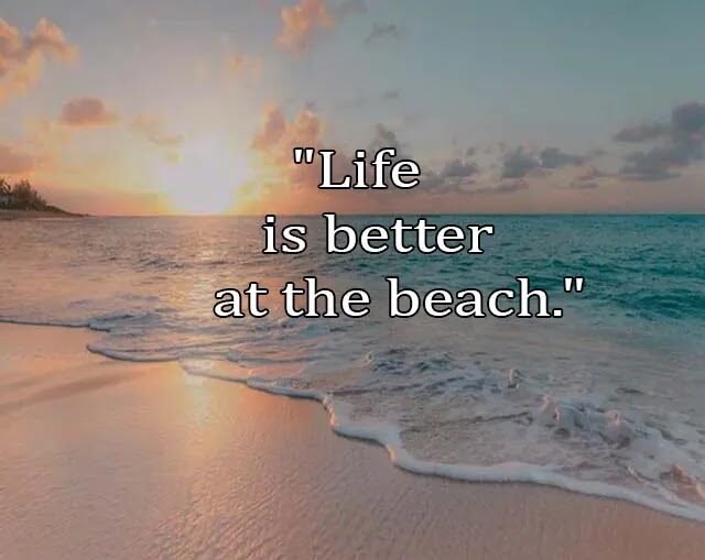 Top Best New Famous Beach Quotes for Everyone Top Best New Famous Beach Quotes for Everyone