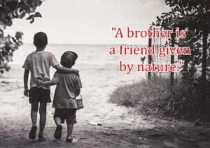 Top Best New Famous Brother Quotes For Everyone