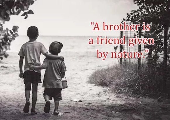 Top Best New Famous Brother Quotes For Everyone