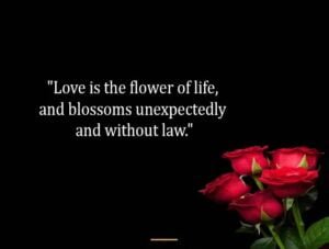 Top Best New Famous Flower Quotes for Everyone