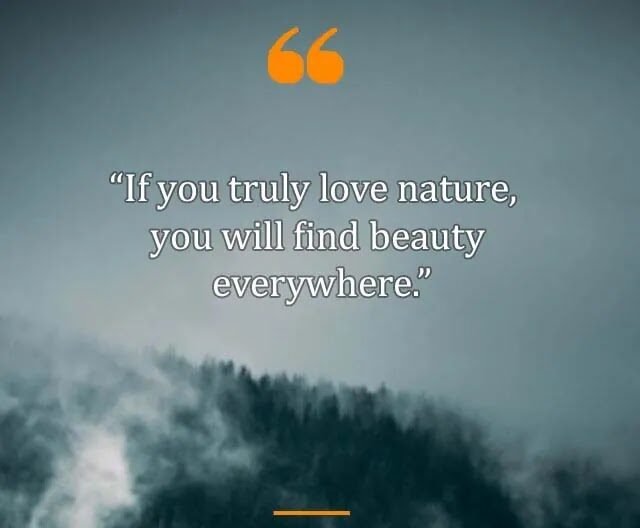Top Best New Famous Nature Quotes For Everyone Top Best New Famous Nature Quotes For Everyone