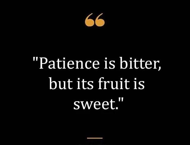 Top Best New Famous Patience Quotes for Everyone Top Best New Famous Patience Quotes for Everyone