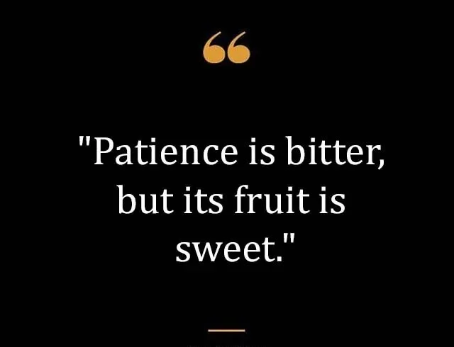 Top Best New Famous Patience Quotes for Everyone