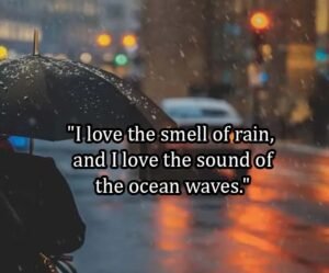 Top Best New Famous Rain Quotes for Everyone