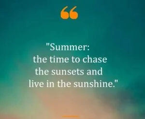 Top Best New Famous Summer Quotes for Everyone Top Best New Famous Summer Quotes for Everyone