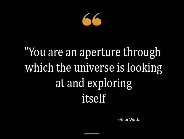 Top Best New Famous Alan Watts Quotes for Everyone