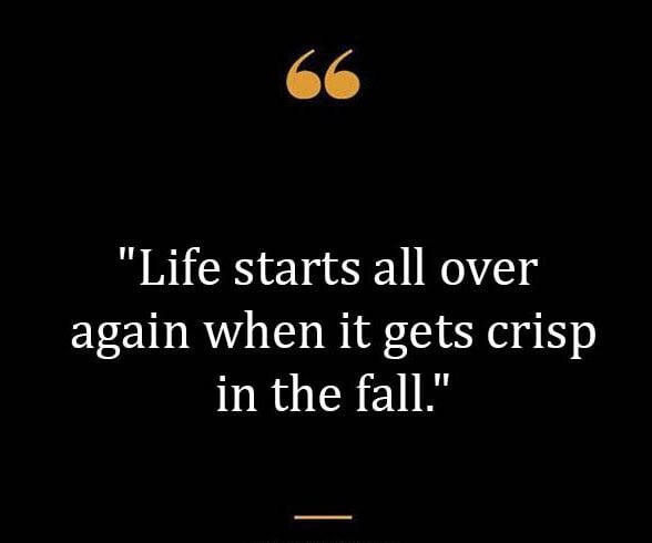 Top Best New Famous Fall Quotes for Everyone