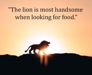 Top Best New Famous Lion Quotes for Everyone