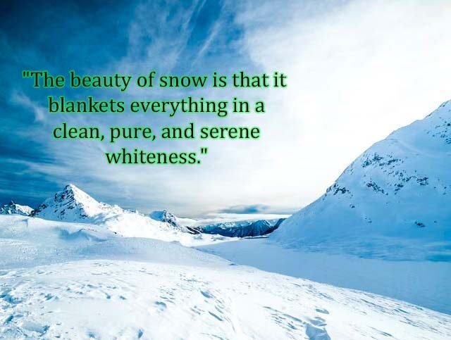 Top Best New Famous Snow Quotes for Everyone
