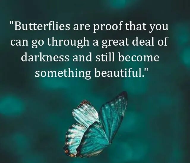 Top Best New Famous Butterfly Quotes for Everyone Top Best New Famous Butterfly Quotes for Everyone