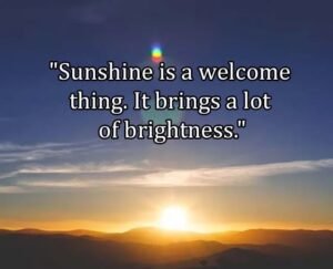 Top Best New Famous Sunshine Quotes for Everyone