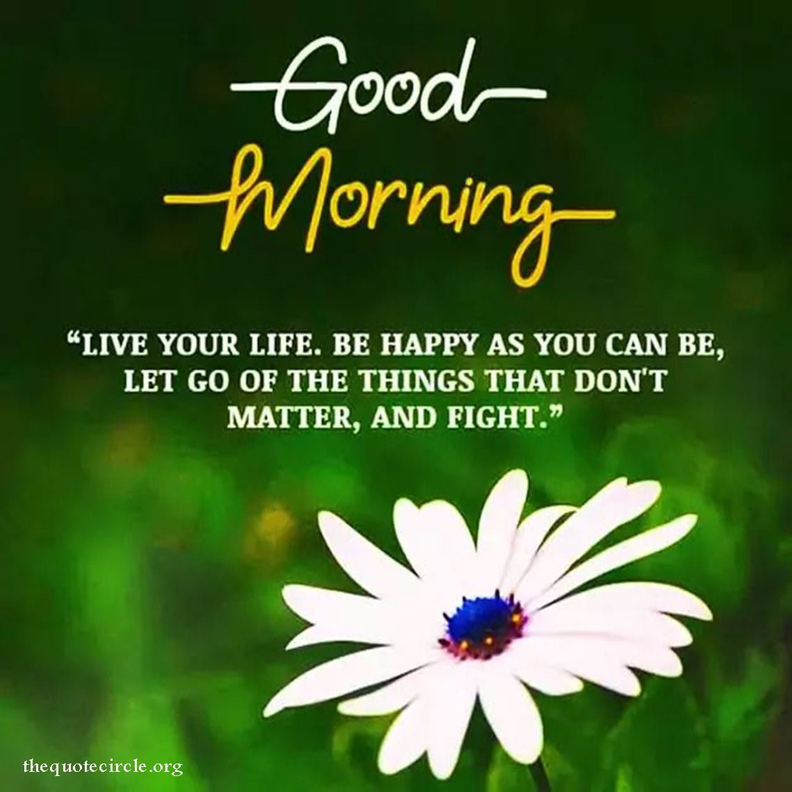 Good Morning Beautiful Quotes and Wishes Start Your Day