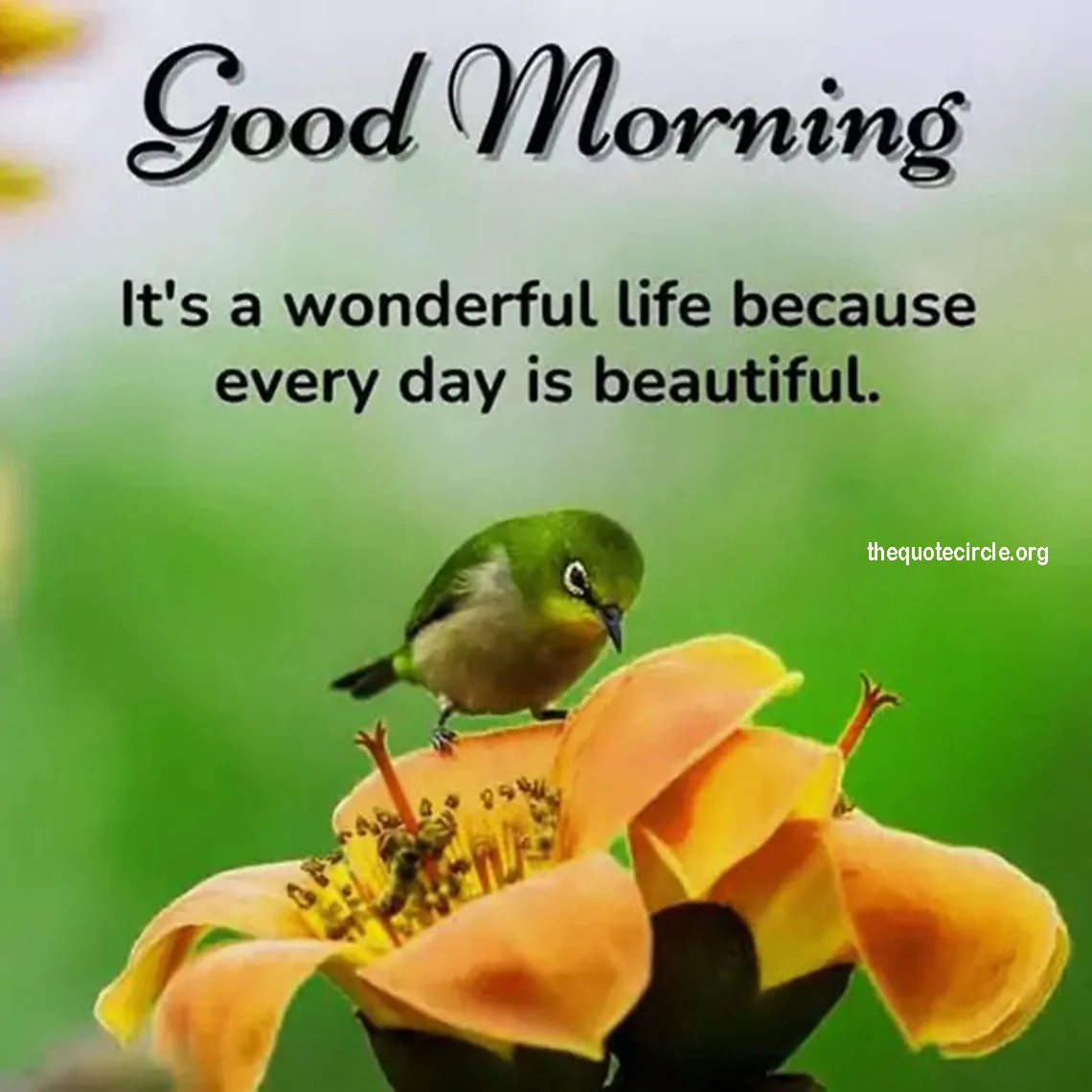 Good-Morning-Wishes-For-Friends