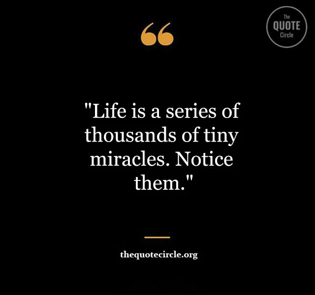 Life is Beautiful Quotes and Saying Best-life-is-beautiful-quotes-and-saying