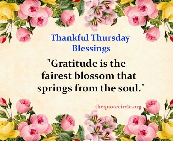 short thankful thursday blessings & quotes, positive thankful thursday blessings wishes quotes, thankful thursday inspirational blessings, good morning thankful thursday blessings, thankful thursday blessings and prayers, have a blessed thankful thursday blessings,