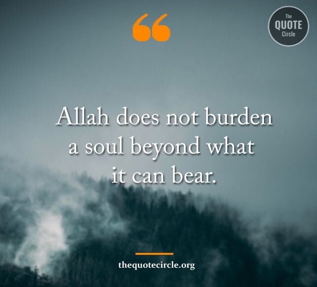 quran quotes, quotation from quran, quote from al quran, quote from islam, quotes for quran, beautiful quran verses, islamic quotes from quran, allah quotes, best quran verses, best quran quotes, allah quotations, ayat of hijab in quran, best lines from quran, best of quran quotes, best quotes in the quran, islam quotes about patience, islam quotes in english, islamic quotes about allah, marriage quote quran, muslim allah quotes, muslim quotes from quran, patience quran quotes,