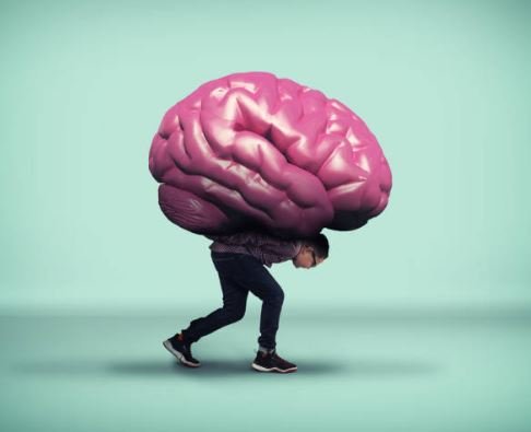 Cursed Images Funny, Shrek Cursed Picture, Photo Cursed Images Funny Shrek Cursed Picture Photo 20