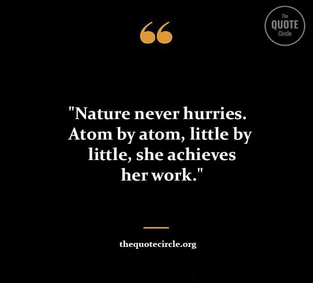 short emerson quotes and saying, emerson famous quotes and saying, emerson life quotes and saying, emerson nature quote and saying, ralph waldo emerson quotes, ralph waldo emerson success, emerson quotations, emerson sayings, quotations by ralph waldo emerson, ralph waldo emerson sayings, ralph emerson quotes, waldo emerson quotes, ralph waldo emerson finish each day, emerson quote about success, emerson quotes from self reliance, emerson success poem, finish each day ralph waldo emerson, friendship quotes ralph waldo emerson, harry emerson fosdick quotes, inspirational quotes by ralph waldo emerson, love quotes ralph waldo emerson, love ralph waldo emerson quotes, motivational quotes ralph waldo emerson, nature by ralph waldo emerson quotes, nature quotes ralph waldo emerson, poem about success by ralph waldo emerson, quote ralph waldo emerson success, quotes by emerson about nature, quotes by ralph waldo emerson about success,