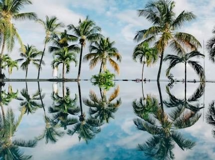 Harika Görüntüler Hd, Fotoğraflar Resim, Whatsapp Durum Dp