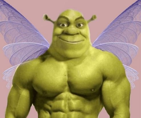 Immagini Maledette Divertenti, Immagine Maledetta Di Shrek, Foto Immagini Maledette Divertenti Immagine Maledetta Di Shrek Foto 2