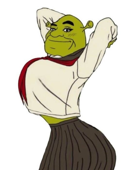 Immagini Maledette Divertenti, Immagine Maledetta Di Shrek, Foto Immagini Maledette Divertenti Immagine Maledetta Di Shrek Foto 3