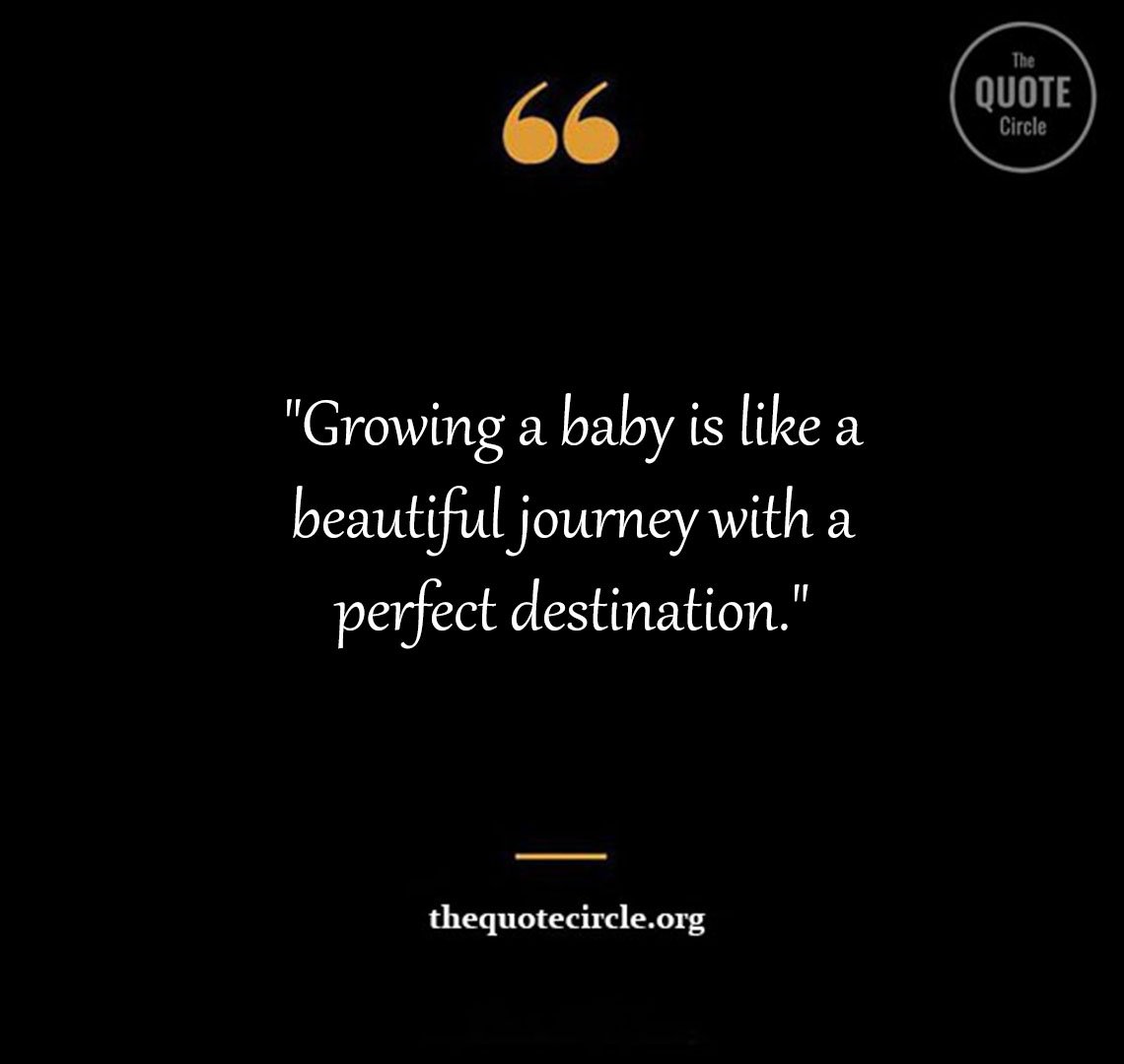 Best New Famous Preg Quotes & Saying for All Preg Quotes and Saying