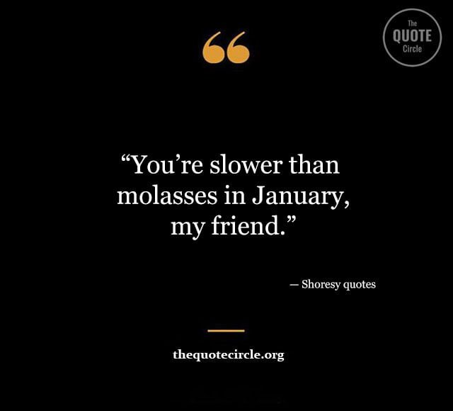 Best New Famous Shoresy Quotes & Saying for All