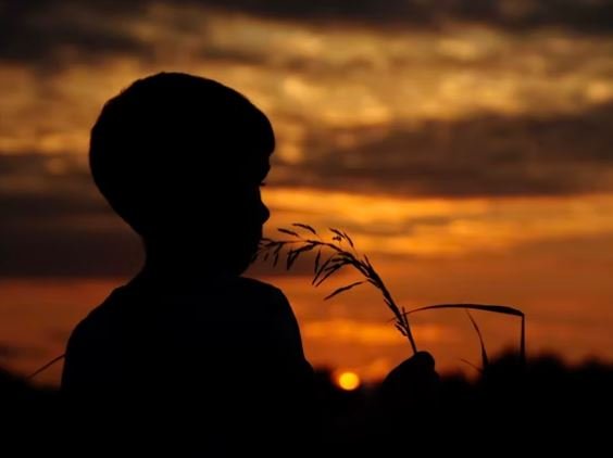 Cool Images HD, Photos Picture, Whatsapp Status DP Cool Images HD, Photos Picture, Whatsapp Status DP