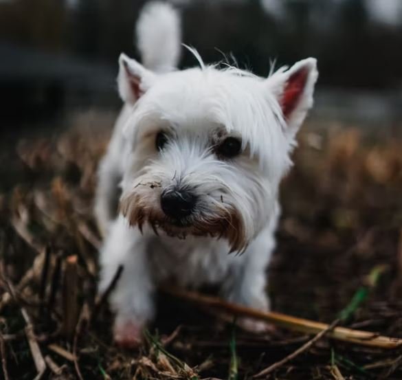 Cool Images HD, Photos Picture, Whatsapp Status DP Cool Images HD, Photos Picture, Whatsapp Status DP