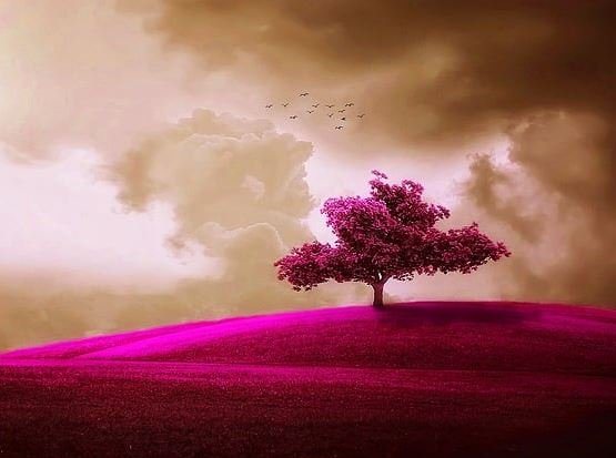 Coole Bilder HD, Fotos, WhatsApp-Status DP Coole Bilder HD, Fotos, WhatsApp-Status DP