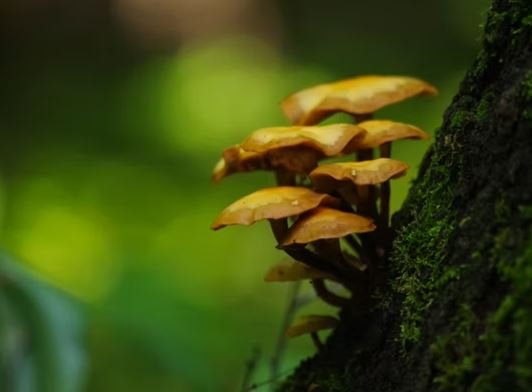 Coole Bilder HD, Fotos, WhatsApp-Status DP Coole Bilder HD, Fotos, WhatsApp-Status DP