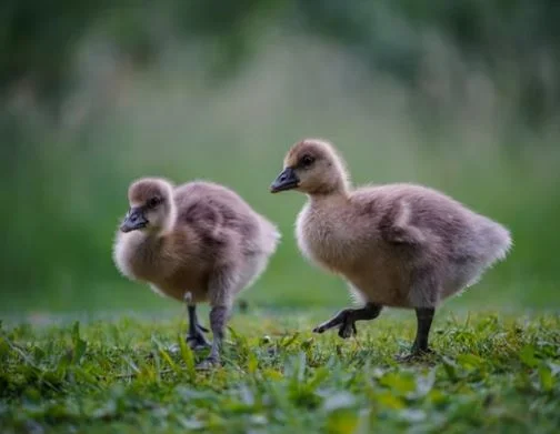 Coole Bilder HD, Fotos, WhatsApp-Status DP