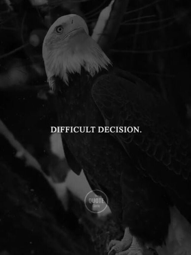 We have a lot to learn from eagles 🦅 #lifelessons #lifequotes #eagle
