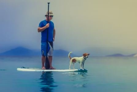 Imágenes Geniales Hd, Fotos, Imágenes, Estado De Whatsapp Dp