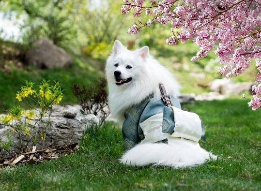 Imágenes Geniales Hd, Fotos, Imágenes, Estado De Whatsapp Dp