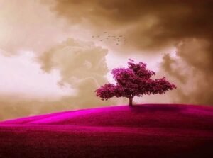 Imágenes Geniales Hd, Fotos, Imágenes, Estado De Whatsapp Dp