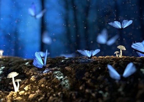 Imagini Cool Hd, Fotografii Imagine, Whatsapp Status Dp Imagini Cool Hd, Fotografii Imagine, Whatsapp Status Dp