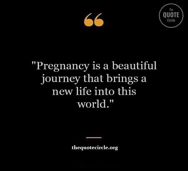 Best New Famous Preg Quotes & Saying for All Preg Quotes and Saying
