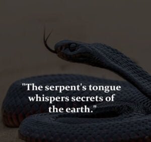 Best New Famous Snake Quotes & Saying for All short snake quotes and saying, famous snake quotes and saying, snake attitude quotes and saying, snake family quotes and saying, snakes in the grass quote, backstabbing snake friends quotes, betrayal quotes about snakes and trust, fake friends snake quotes, fake snake quotes, ouroboros quote, quotes about snake friends, quotes for snake friends, saying about snakes, saying for snakes, snake people quotes, friends are like snakes quotes, funny sayings about snakes, inspirational snake quotes, positive quotes about snakes, quotes about snakes and trust, quotes about snakey friends, quotes on snake friends, saanp quotes, short snake sayings, snake and ladder quotes, snake ladder quotes, snake love quotes, snake motivational quotes, snake oil salesman quotes, snake quotes and sayings,