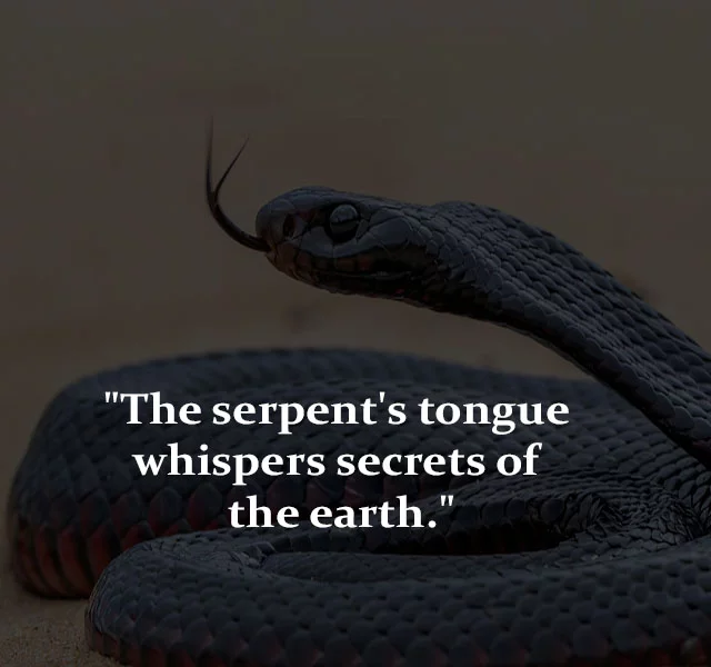 short snake quotes and saying, famous snake quotes and saying, snake attitude quotes and saying, snake family quotes and saying, snakes in the grass quote, backstabbing snake friends quotes, betrayal quotes about snakes and trust, fake friends snake quotes, fake snake quotes, ouroboros quote, quotes about snake friends, quotes for snake friends, saying about snakes, saying for snakes, snake people quotes, friends are like snakes quotes, funny sayings about snakes, inspirational snake quotes, positive quotes about snakes, quotes about snakes and trust, quotes about snakey friends, quotes on snake friends, saanp quotes, short snake sayings, snake and ladder quotes, snake ladder quotes, snake love quotes, snake motivational quotes, snake oil salesman quotes, snake quotes and sayings,